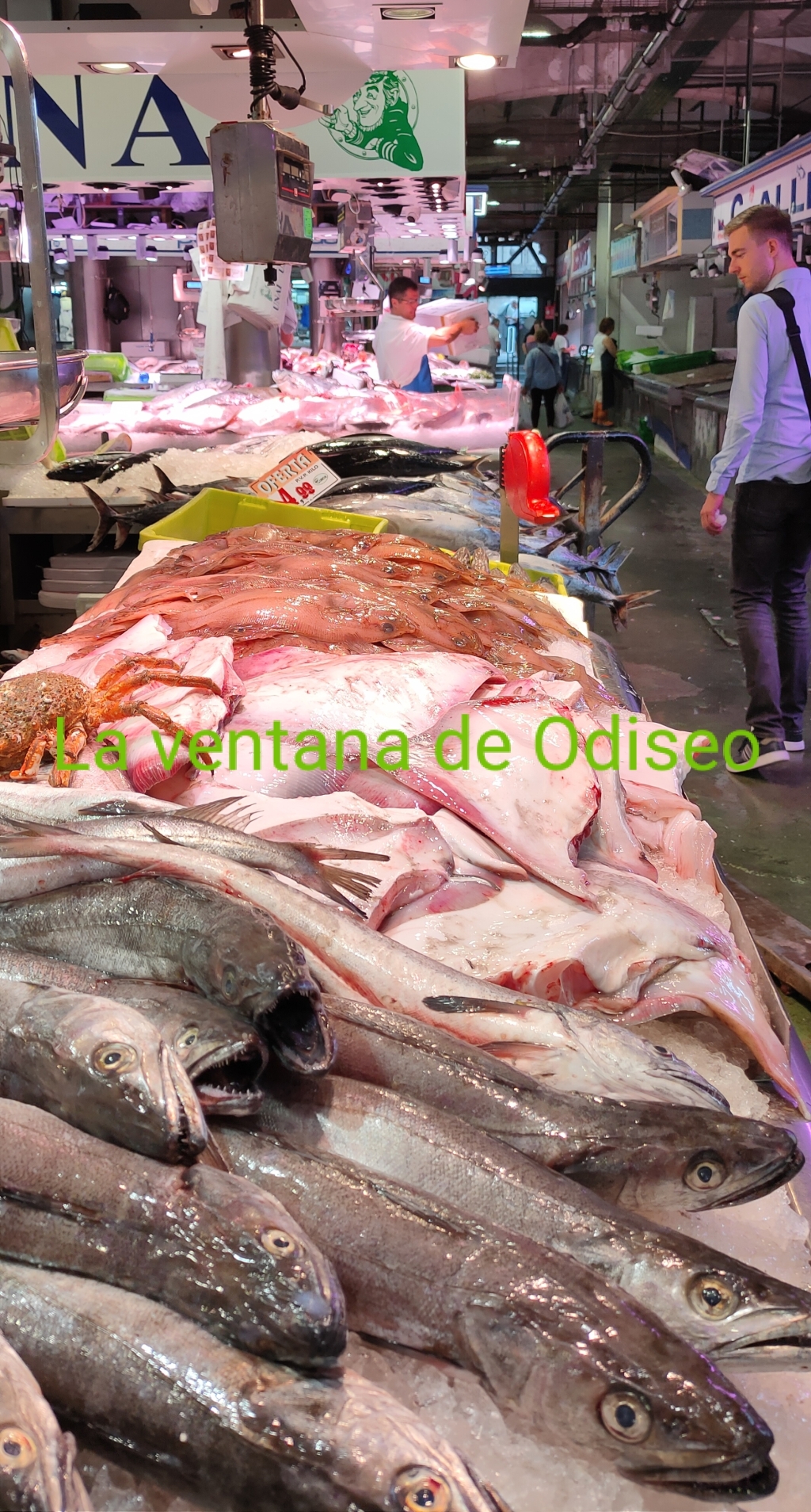 Mercado de la Esperanza, Santander